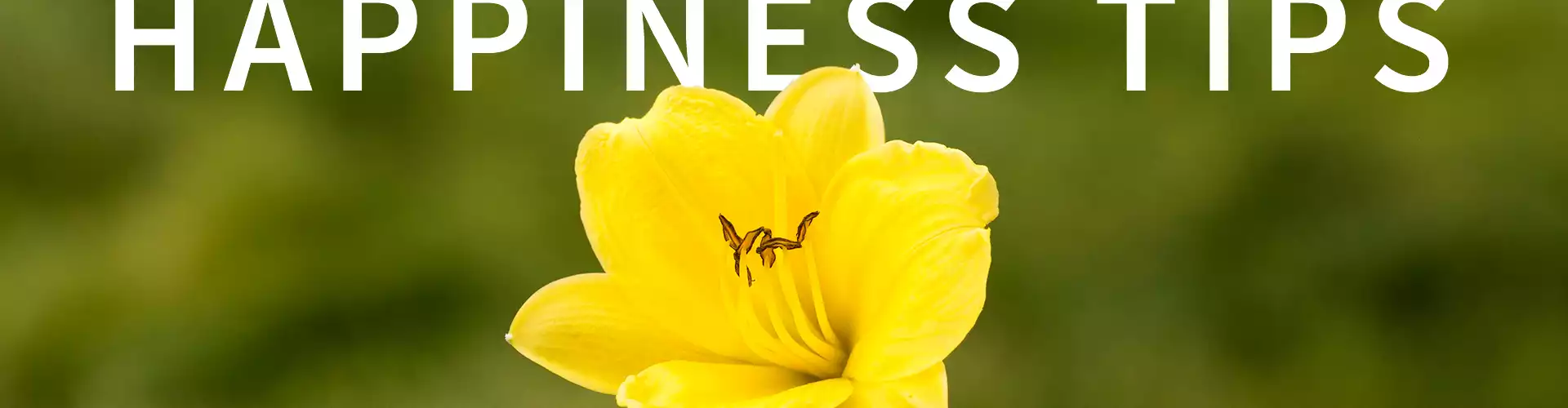 5 STEPS TO GREATER HAPPINESS  in Life + Business